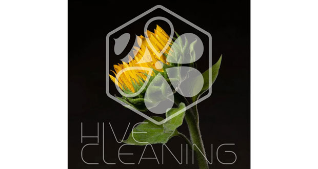 Hive Cleaning awarded B Corp status